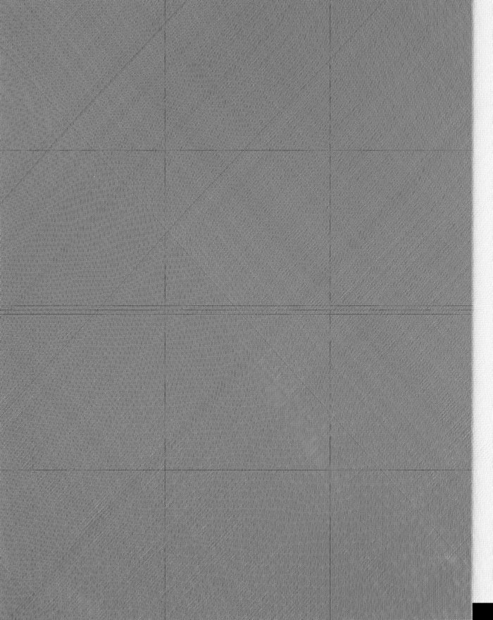 mesh showing dead rows and columns-1.jpg